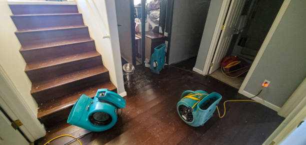 Best Sewage cleanup and water damage restoration  in South Patrick Shores, FL
