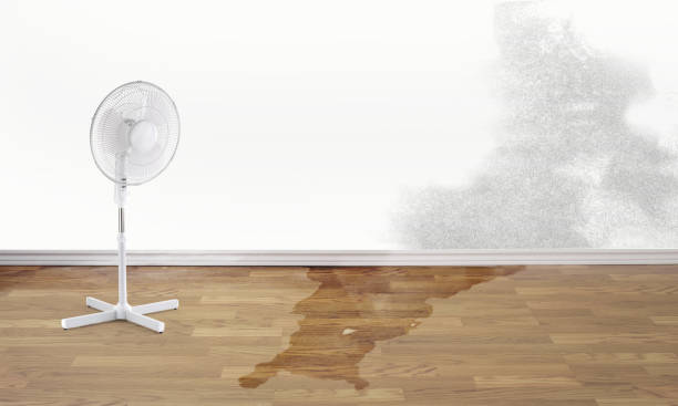 Best Emergency water damage restoration  in South Patrick Shores, FL