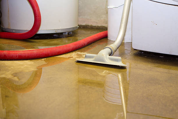 Best Flooded house restoration  in South Patrick Shores, FL