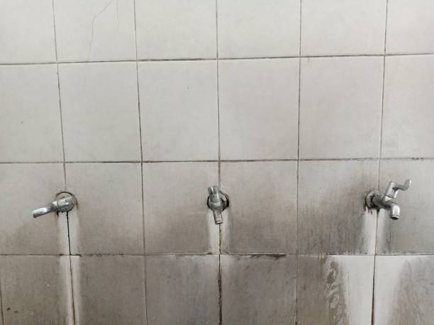  South Patrick Shores, FL Water damage restoration Pros