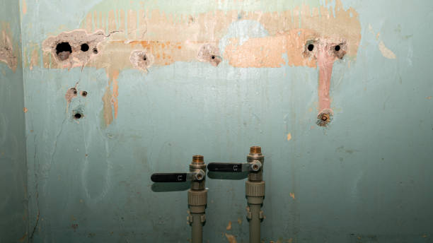Best Sewage cleanup and water damage restoration  in South Patrick Shores, FL