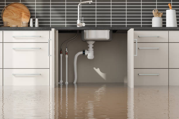 Best Flooded house restoration  in South Patrick Shores, FL