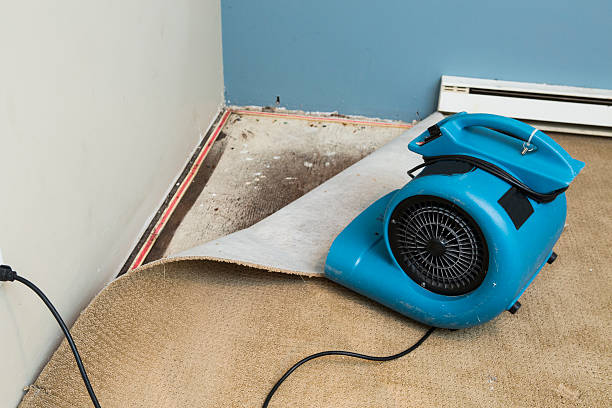 Best Water damage restoration near me  in South Patrick Shores, FL